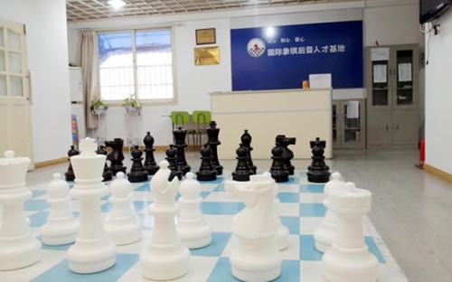 天星国际象棋俱乐部